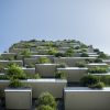 Adaptation aux changements climatiques Immeuble végétalisé