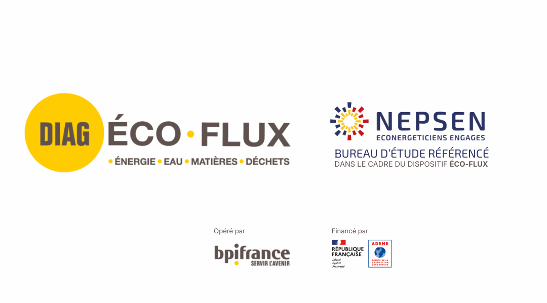 DIAG-ECO-FLUX-NEPSEN