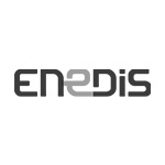 ENEDIS-Logo
