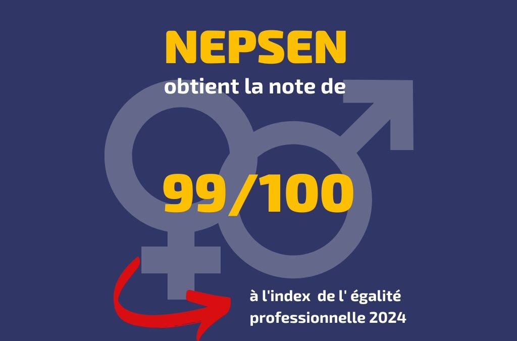 Index égalité professionnelle 2024 NEPSEN