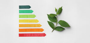 Article-audit-énergétique-NEPSEN-1A