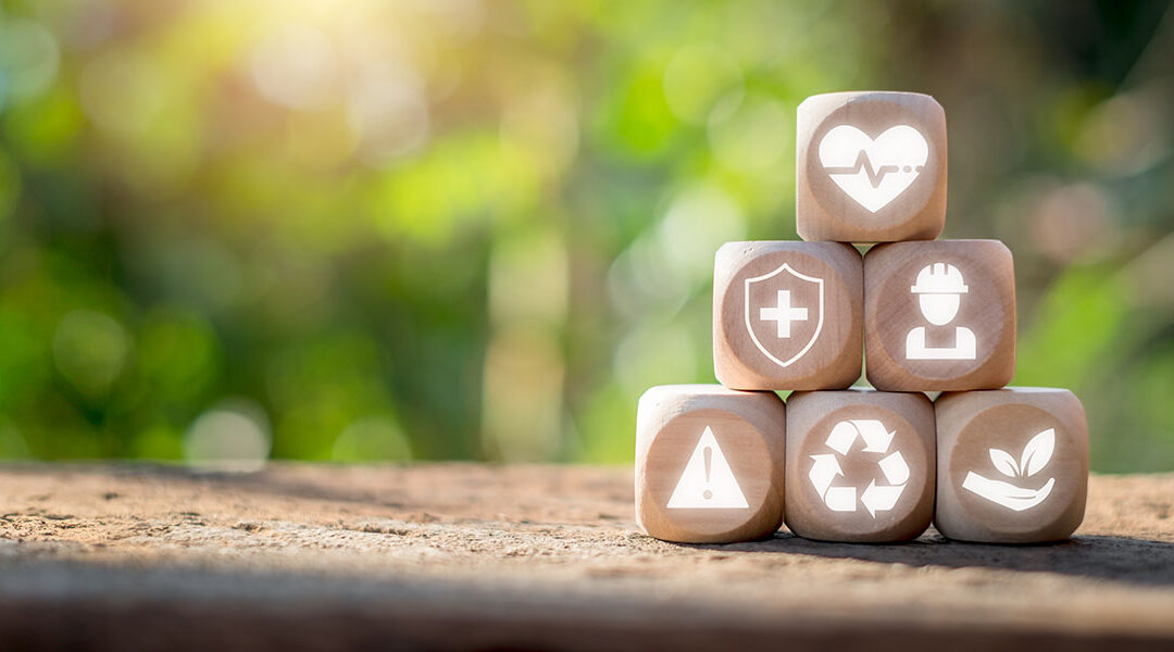 L’USSAP & NEPSEN : Structurer la démarche RSO