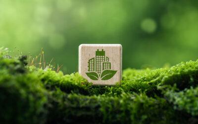 Structurer sa trajectoire climat : réussir la transition bas carbone avec ACT Pas à Pas