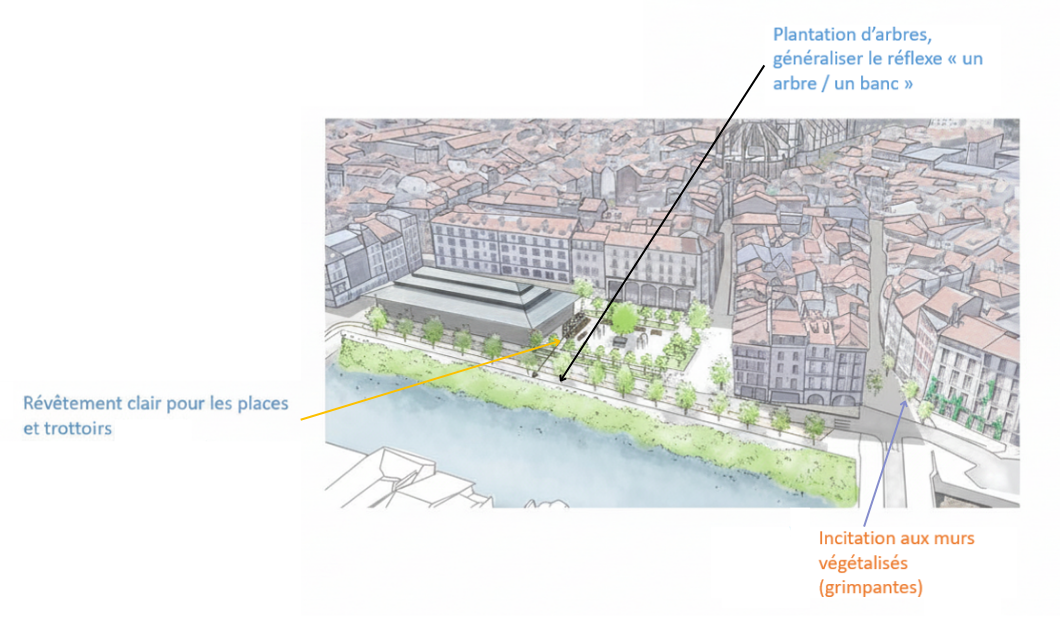 Croquis d’aménagement et de végétalisation