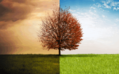 L&rsquo;adaptation au changement climatique : une nécessité stratégique pour les entreprises